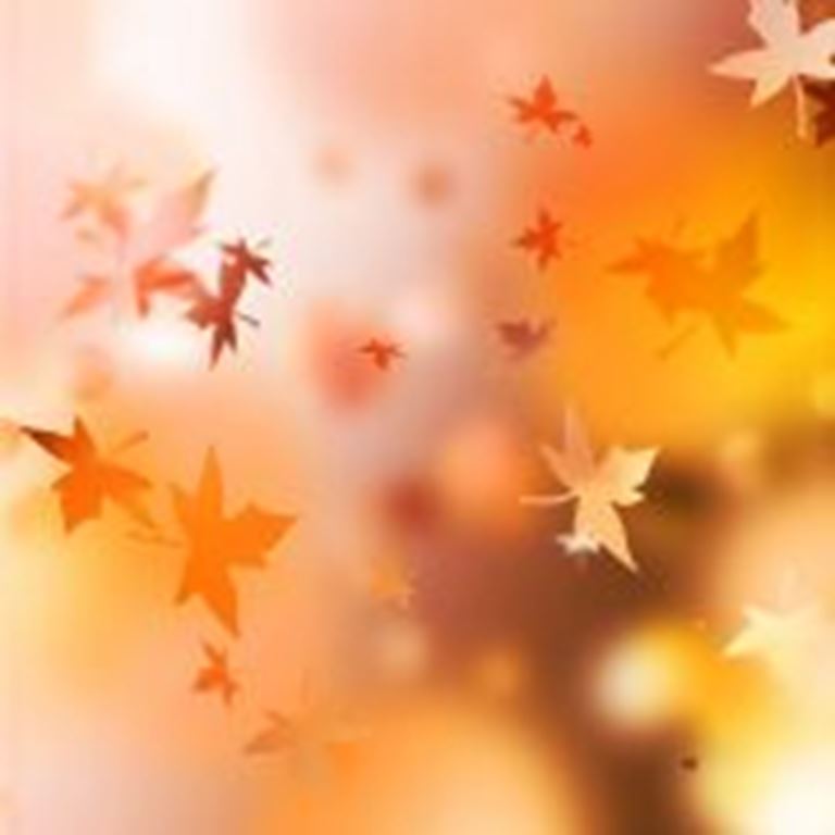 2017 Autumn Newsletter